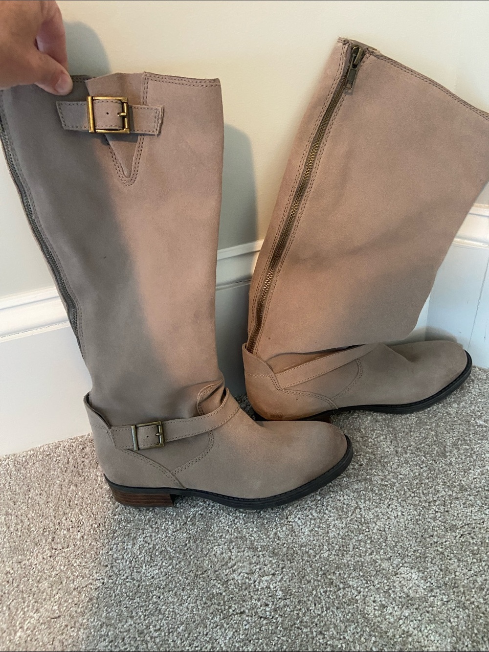 Dolce Vita Classic Taupe Knee-High Riding Boots - Women